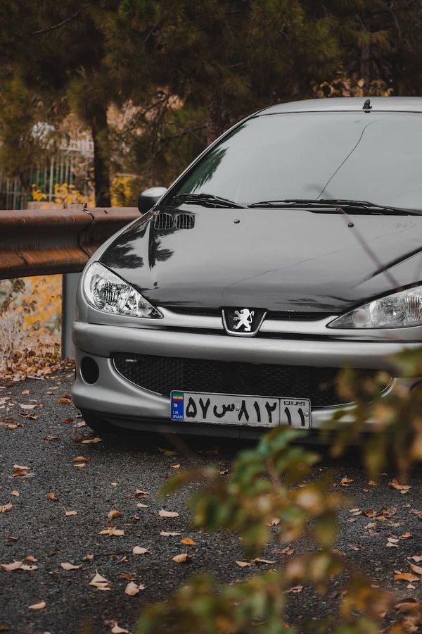 Comment changer une ampoule sur Peugeot 206 ?