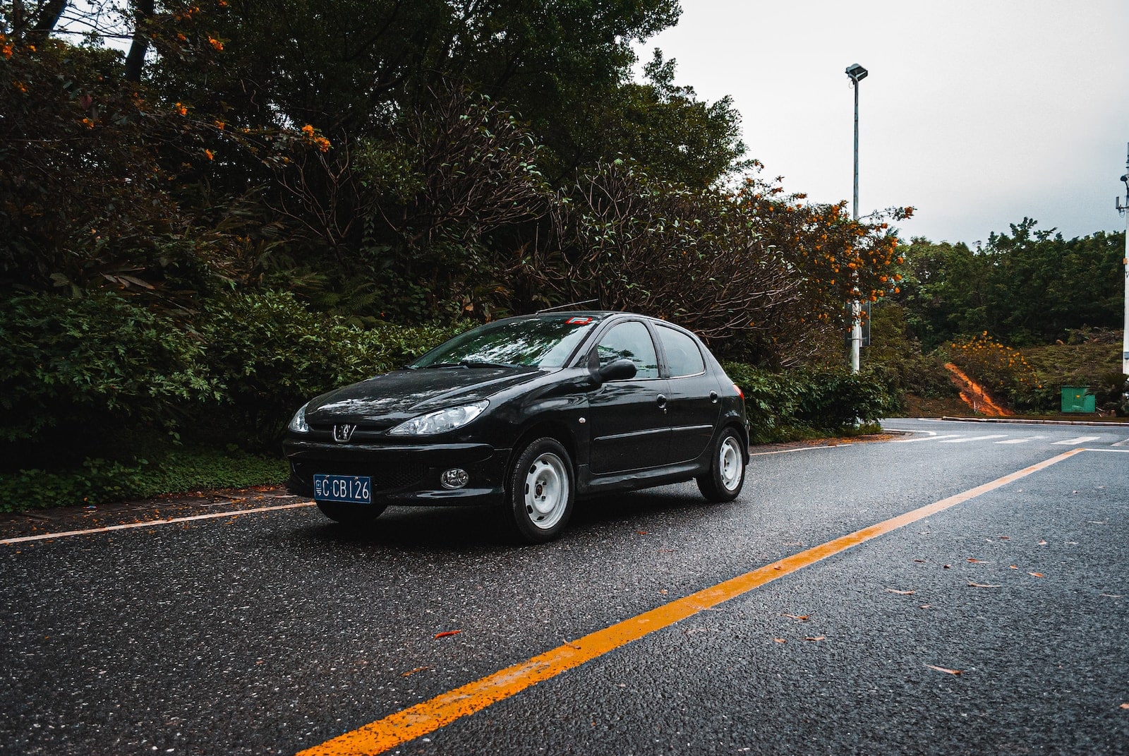 Comment changer le miroir rétroviseur sur Peugeot 206