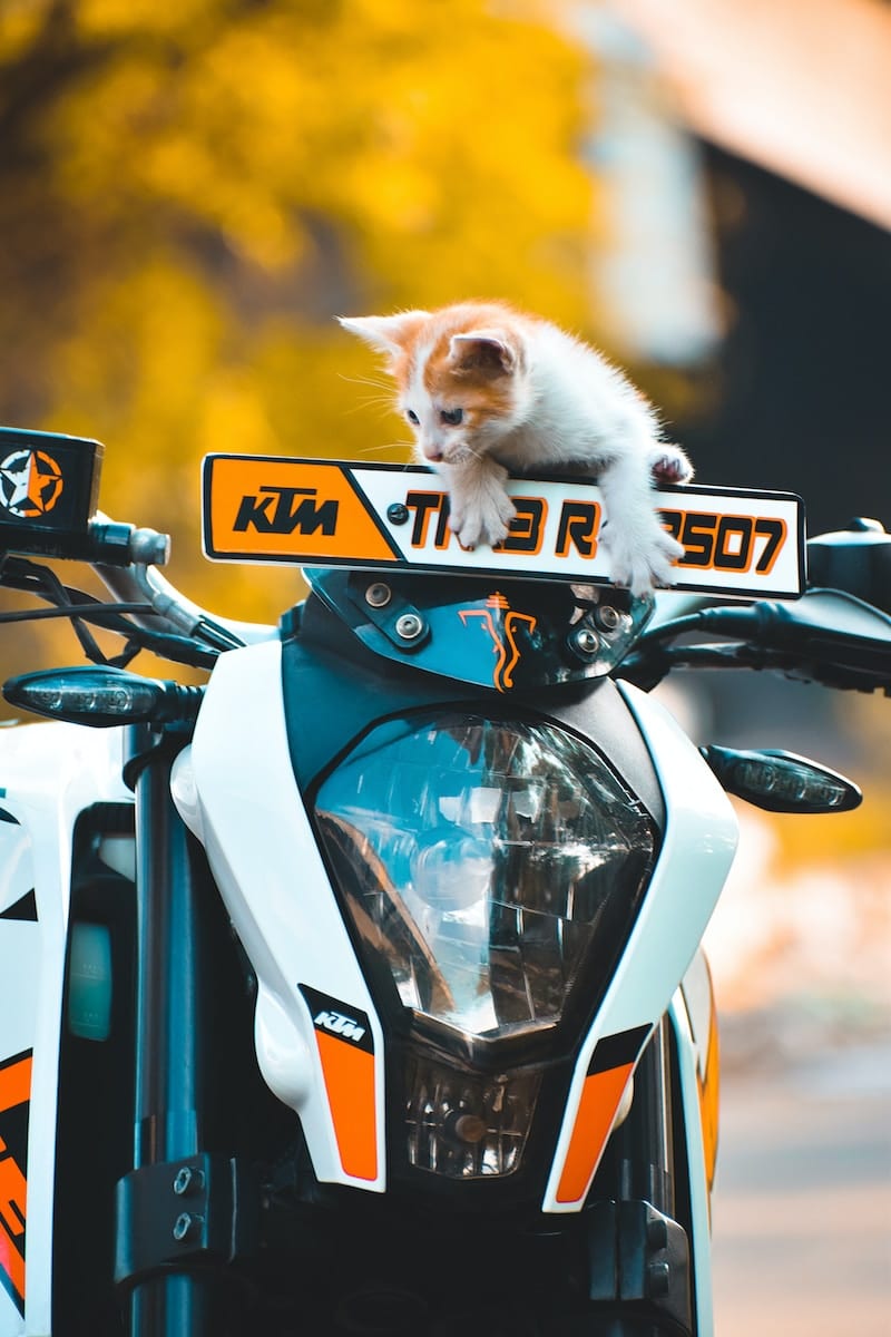 Comment débrider une KTM Duke ? Auto Moto Mag